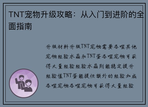 TNT宠物升级攻略：从入门到进阶的全面指南